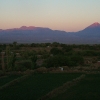 atacameno-0020