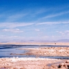 atacameno-006