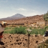 atacameno-0025