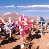 atacameno-0036
