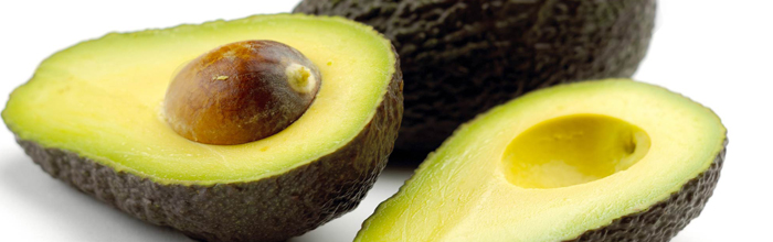 Palta