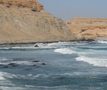 chinchorro-220