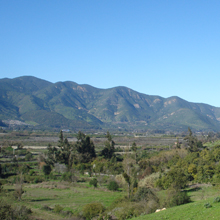 lloleo-220