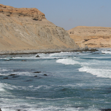 chinchorro-220