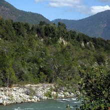 comunidades-inciales-de-chile-central-220