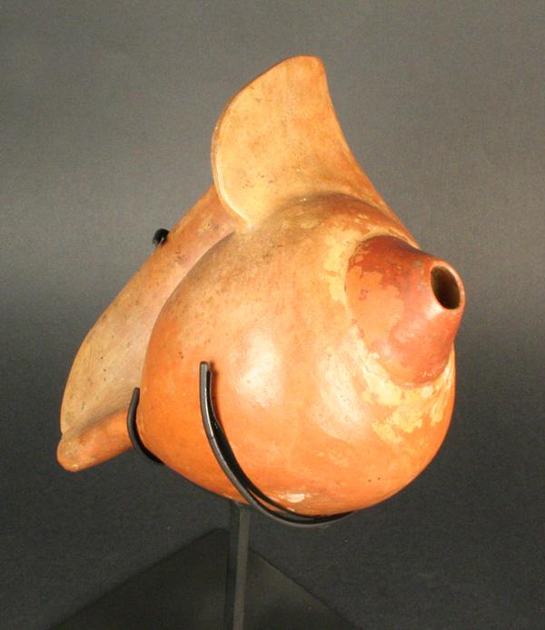 Image result for trompeta de caracol marino